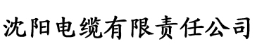 老司机电影AE电缆厂logo